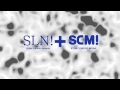 SLN SCM Ident