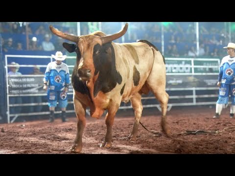 Rodeio de PEROBAL 2025 / FINAL COPA PERERÊ (SÁBADO / MELHORES MOMENTOS)