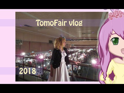Tomofair Nijmegen 2018 Vlog - HellsCuteExecuter