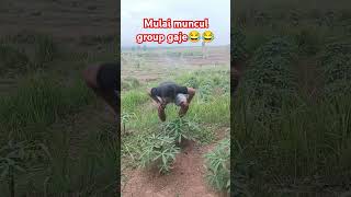 Download lagu Komedi sunda mulai muncul group gaje#bodorsunda #music #automobile mp3