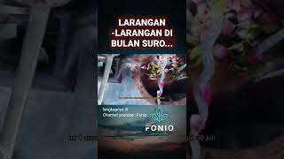 Download lagu PROHIBITIONS IN THE MONTH OF SURO / THE NIGHT OF SURO mp3