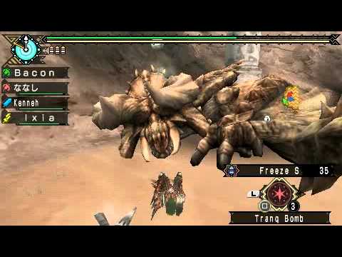 Professional Monster Hunter Tips #5