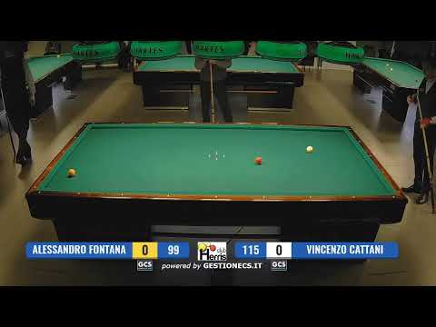 Alessandro Fontana - Vincenzo Cattani