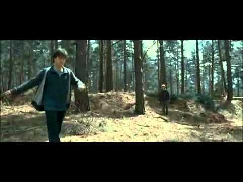 DELETED SCENE of Harry Potter 7 part 1 - Ron and Harry chasing a rabbit in the forest