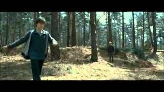 DELETED SCENE of Harry Potter 7 part 1 - Ron and Harry chasing a rabbit in the forest