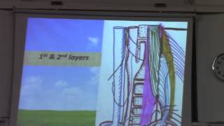 21- [Neck] Dr.Sherif Zaki (Internal Carotid Artery - ٍSubclavian Artery )