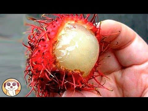 Limpotenza maschile in 30 anni Significa aumentare il video potenza