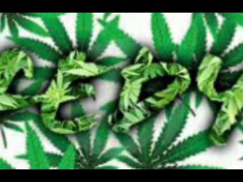 Fedy Xii - 627 (Reggae*Riddim) 2k17