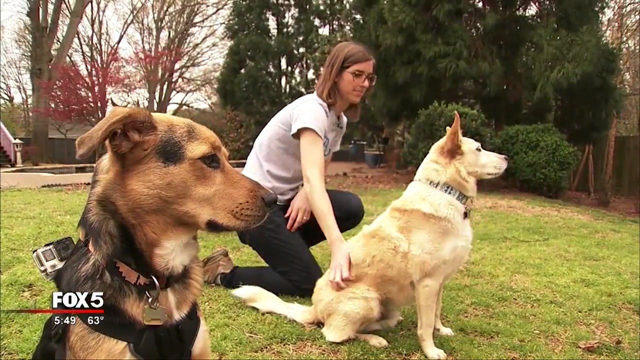 Allergic to your pet? These tips might help