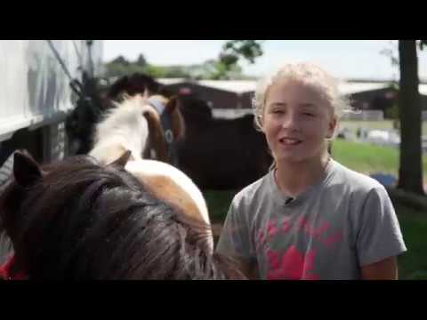 Fanimals | the Shetland Grand National at the New Zealand Agricultural Show