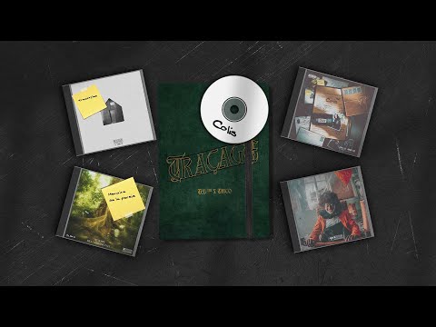 T3D™ - Traçage x Chico