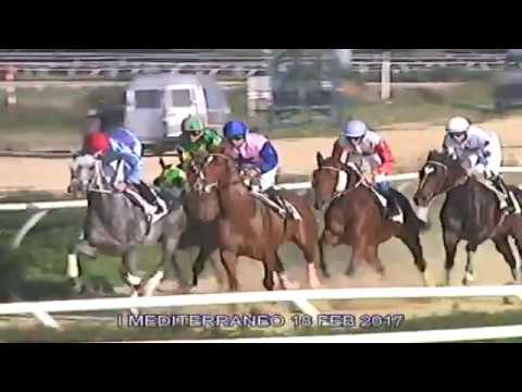 Galoppo corse del 18 Febbraio 2017
