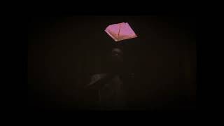 Never changed Music Video