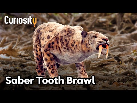 The Secrets of The Saber Tooth Tiger | Breakthrough