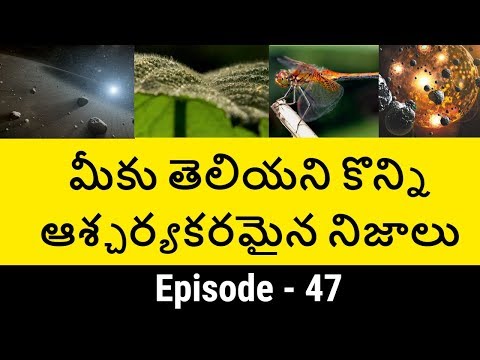 Episode 47 - interesting and amazing facts - top 10 unknown facts