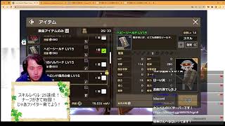 【 #元素騎士  】22時からタワー挑戦予定！微課金ガデのレベリング！