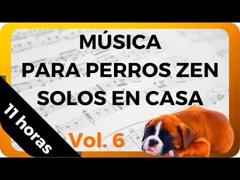 11 HORAS de MÚSICA para PERROS con ANSIEDAD por SEPARACIÓN │ MUSICOTERAPIA 🎵💤  Vol. 6