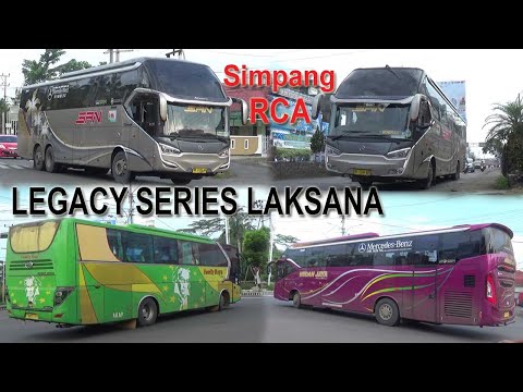 BUS-BUS SUMATERA LEGACY SERIES LAKSANA DI SIMPANG RCA LUBUK LINGGAU