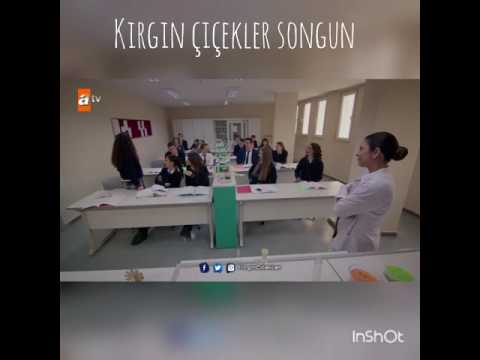 Kırgın çiçekler songun