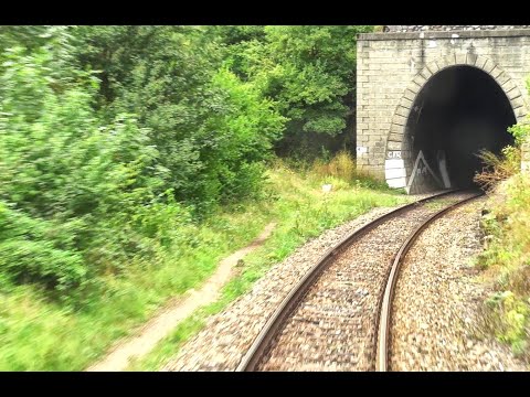 Train Backview-Vadu Crișului-Bratca-Defileul Crișului Repede-Munții Apuseni-Mountains-01.09.2020