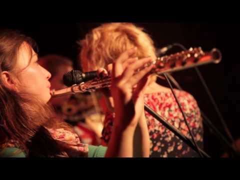 Amorālā Psihōze - Klaiņojošās vecenes II  (2012)