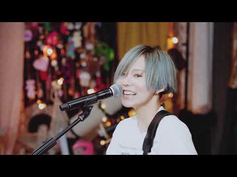 Polkadot Stingray - Telecaster Stripe (Live)