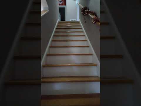 Spacious 3BR Townhome by the Bus Stop property video