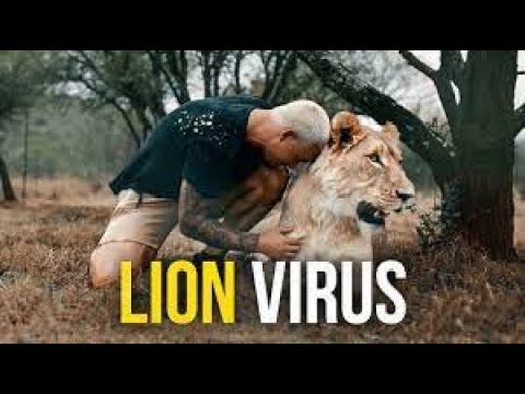 Lion Virus   Dean Schneider #lionvirus