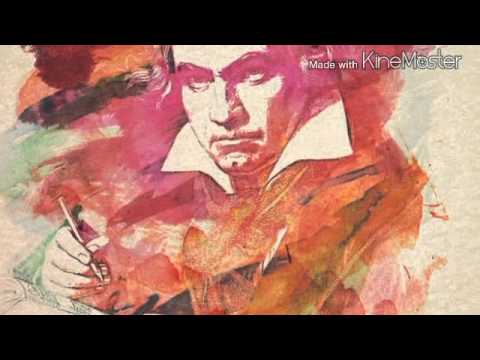 Insane El Rato - Ludwig Sonata Disorder