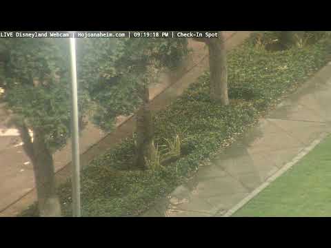 Live webcam of Disneyland Cam
