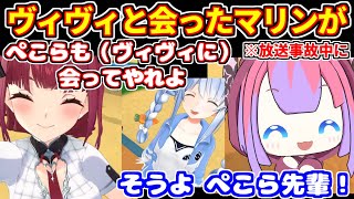 ぺこマリ体操で放送事故＋ヴィヴィに会ってやれとぺこらに促すマリン【ホロライブ切り抜き/綺々羅々ヴィヴィ/宝鍾マリン/兎田ぺこら/白上フブキ/ぺこヴィヴィ】