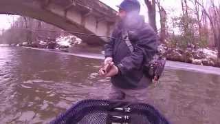 preview picture of video '20 Male Donaldson Trout caught in Cherokee, NC'