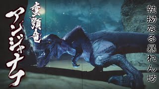 MHRiseを実況プレイ 20【アンジャナフ】