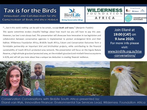 Conservation Conversations: Ellané van Wyk - Tax is for the birds: innovative conservation solutions