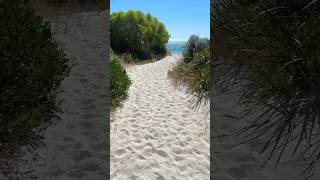 今日のビーチ😊😊 #shorts #beachlife #海辺の暮らし #夫婦時間