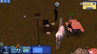 Master your 'Cooking' skill without books