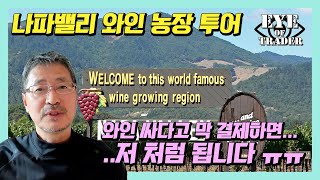 나파밸리 와인농장 다녀왔습니다! 와인이 한국의 반값...인줄 알았는데..? 여러분은 통수 맞지말고 꼭! 이거 확인하세요!|