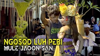 Download lagu Luh Pebi Reborn mp3