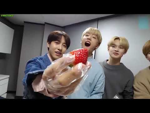 cute sneaky fruit thief: mochisung