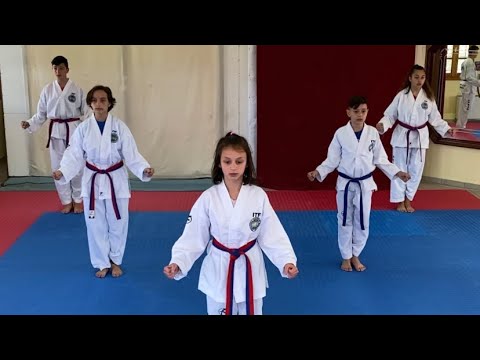 Training /Taekwondo ITF Team Pattern Chon-ji Tul