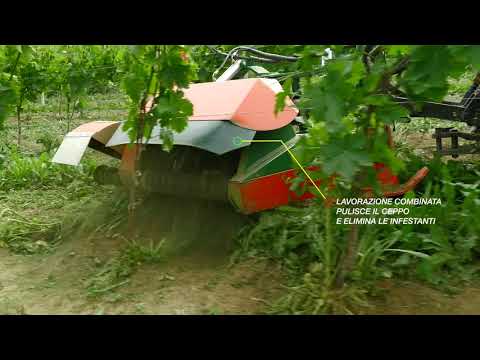 DISERBATRICE-DECESPUGLIATRICE OLMI