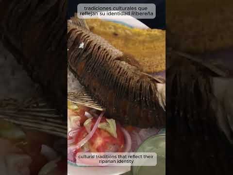 Pesca agricultura turismo motores económicos puerto nare Antioquía