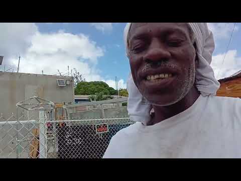 Blp party terrorist Patrick pollution on blp party bank Holiday 