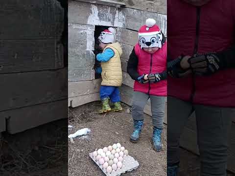 Samo domace😊😊 #selo #funny #porodičnivlog #zivotnaselu #farming #family