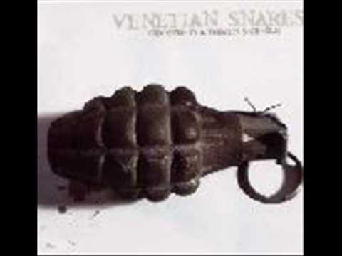 Venetian Snares- neon genesis evangelion violin solo .wmv