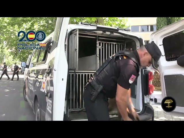La Unidad de Guías Caninos en el Bernabéu por la visita del Papa León XIV