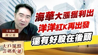 海華大漲獲利出 洋洋紅K再出發 還有好股在後頭 (圖)