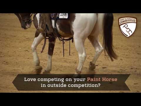 Join the PAC . . . Paint Alternative Competition!