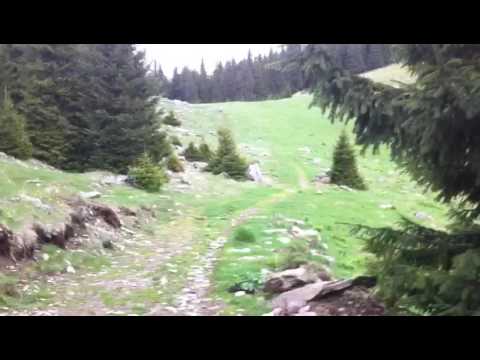 Offroad Parâng Rumänien 2017-05