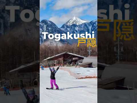 The Secret Japan Ski Resort You Need To Visit 🇯🇵 #shorts